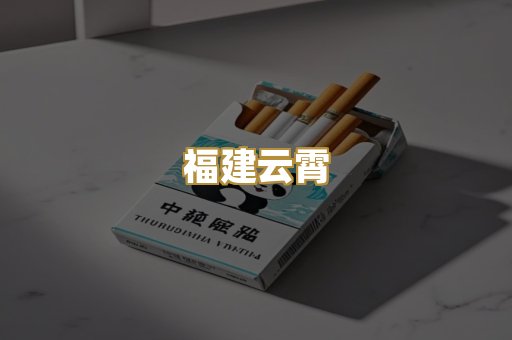 福建云霄
